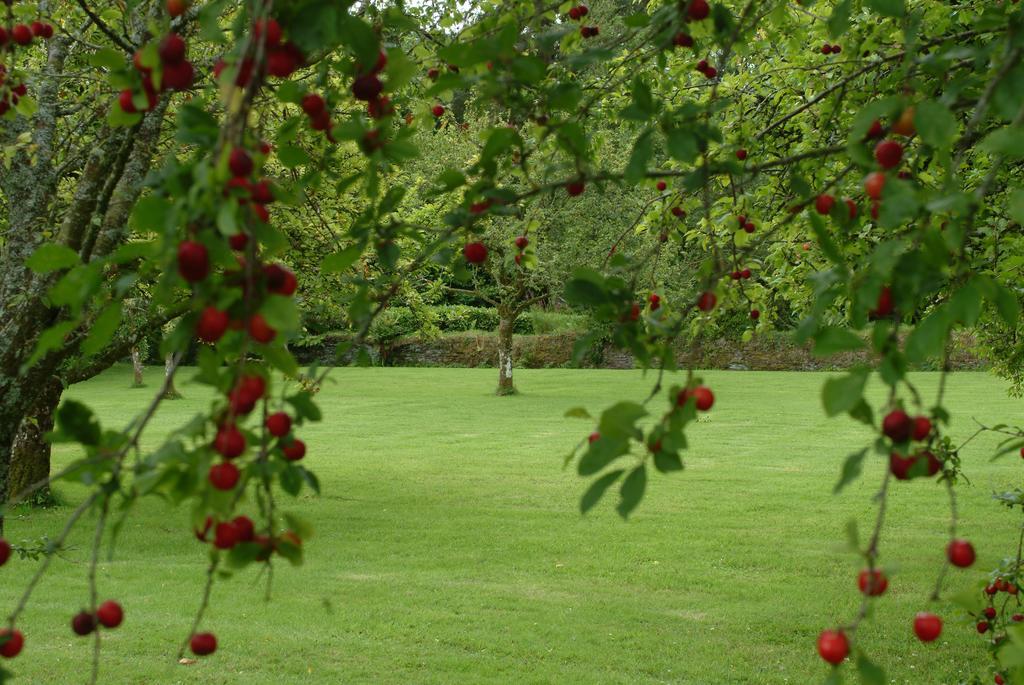 Rhosygilwen Courtyard Bed & Breakfast Cilgerran Exterior photo